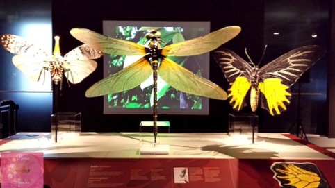 Reese_Speaks_Museum_Of_Nature_Big_Bugs_Dragonfly_Scultpure_Photo_10212015
