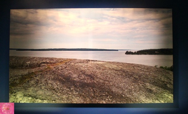 Vikings Scandinavian Landscape Photo Reese Speaks